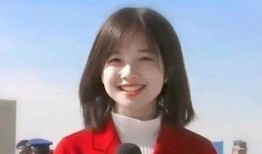 刘晨爆料倪海杉视频,真相与争议并存